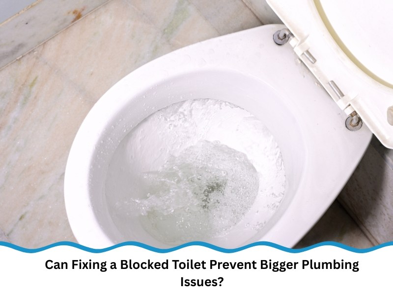 Can Fixing a Blocked Toilet Prevent Bigger Plumbing Issues?