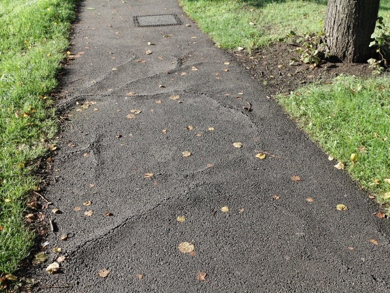 A cracked and lifted asphalt footpath beside a tree, with a drainage grate set into the kerb