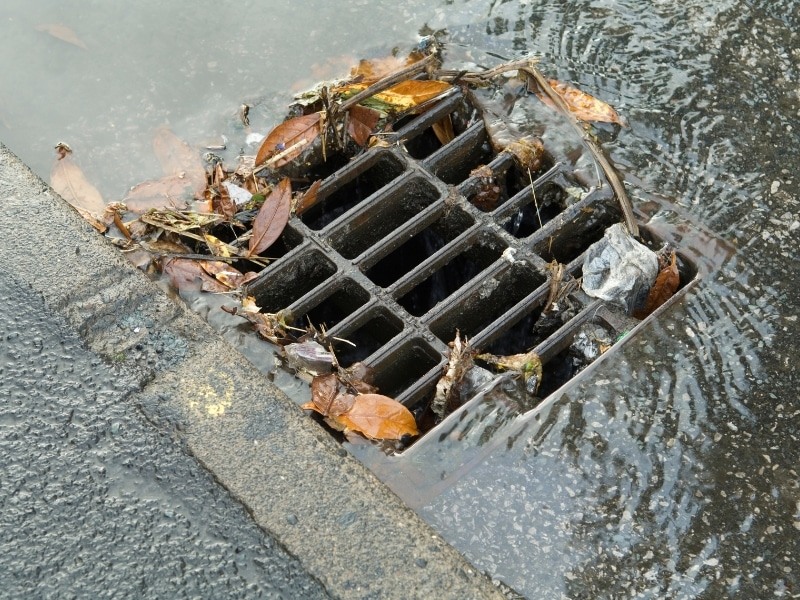 Leaves and litter blocking a street stormwater grate as water runs along the kerb