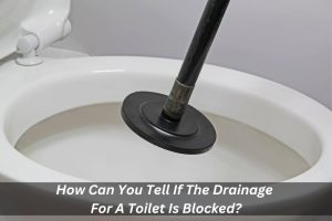 Image presents How Can You Tell If The Drainage For A Toilet Is Blocked