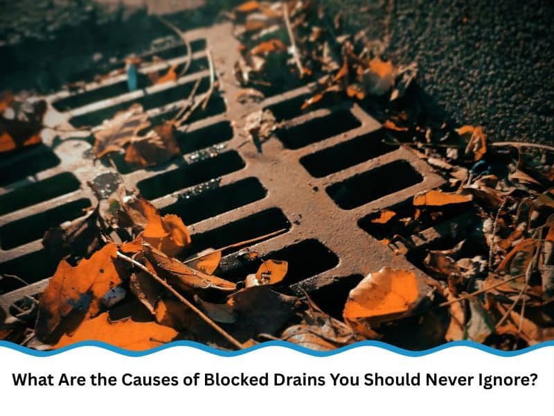Autumn leaves covering storm drain — common causes of blocked drains in outdoor areas.