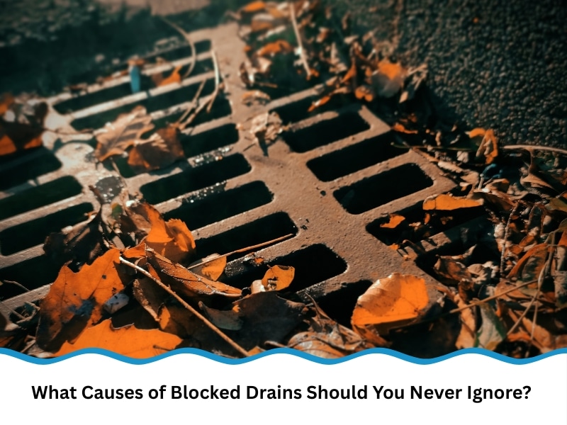 Autumn leaves covering storm drain — common causes of blocked drains in outdoor areas.