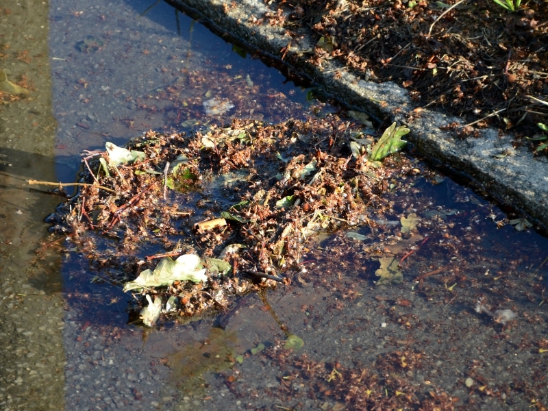 Debris buildup over outdoor drain — visible causes of blocked drains during heavy rain.