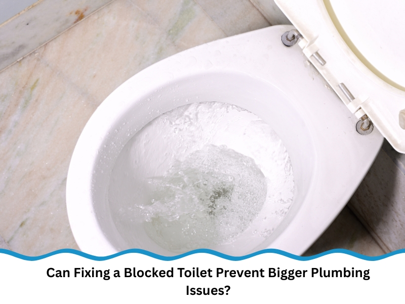 Toilet flushing with clear water after fixing a blocked toilet