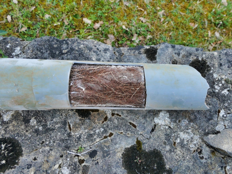 Pipe completely blocked by roots showing benefits of getting rid of tree roots.